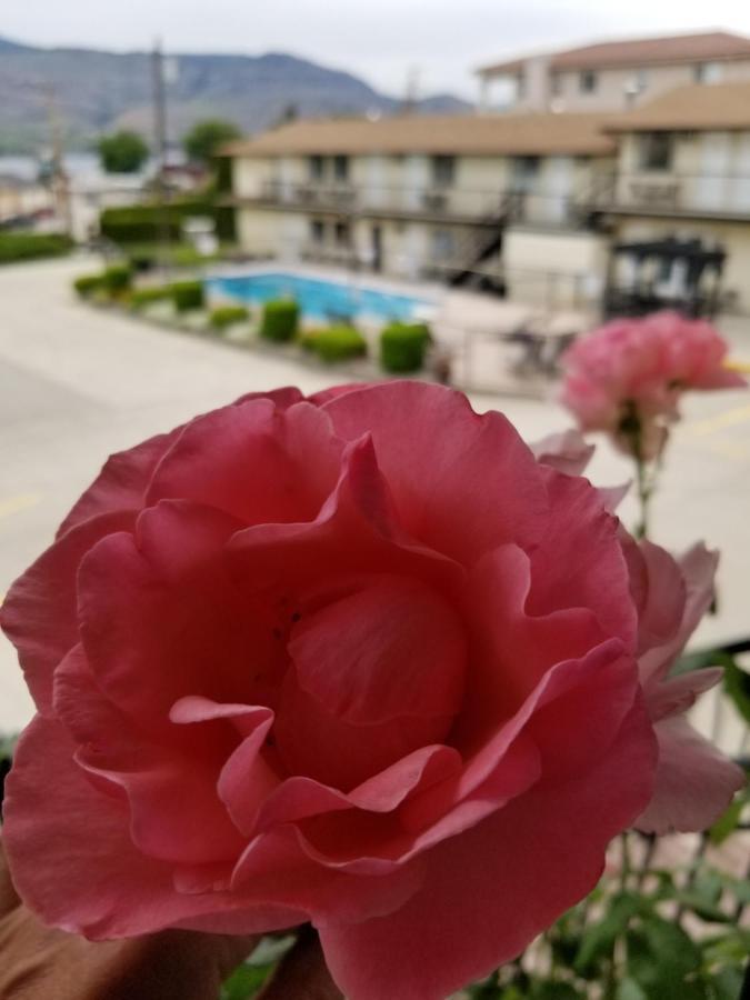 Osoyoos Lakeview Inn & Suites Luaran gambar